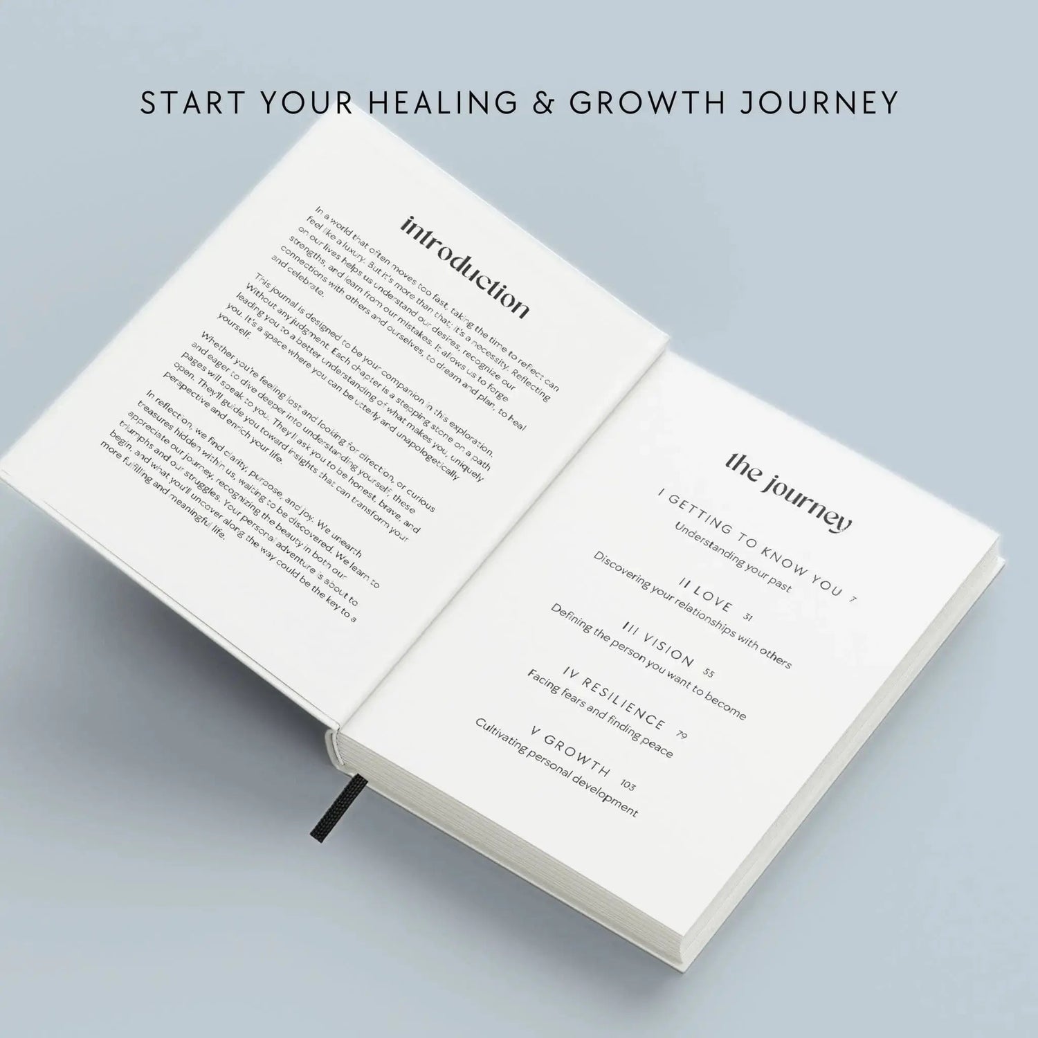 The Growth Guided Journal